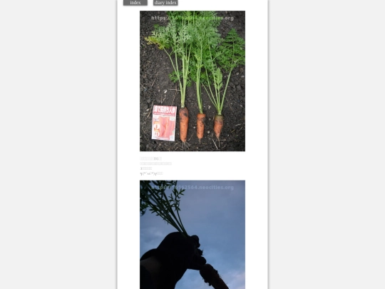 2023/hadaikon2023nov28 screenshot