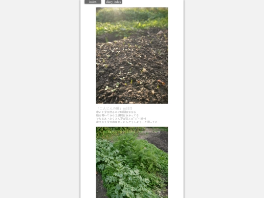 2023/hadaikon2023nov29 screenshot