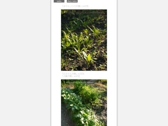 2023/hadaikon2023nov3 screenshot