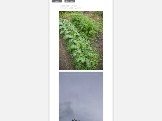 2023/hadaikon2023nov6 screenshot