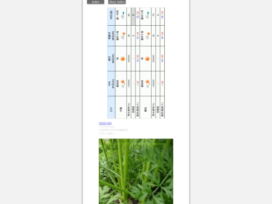 2023/hadaikon2023nov7 screenshot