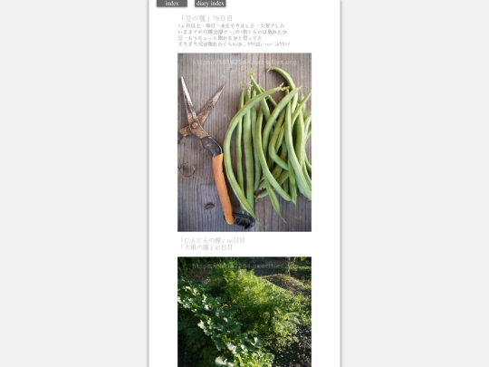 2023/hadaikon2023nov8 screenshot
