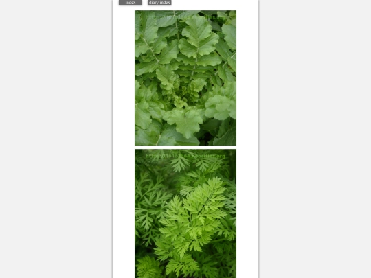 2023/hadaikon2023nov9 screenshot