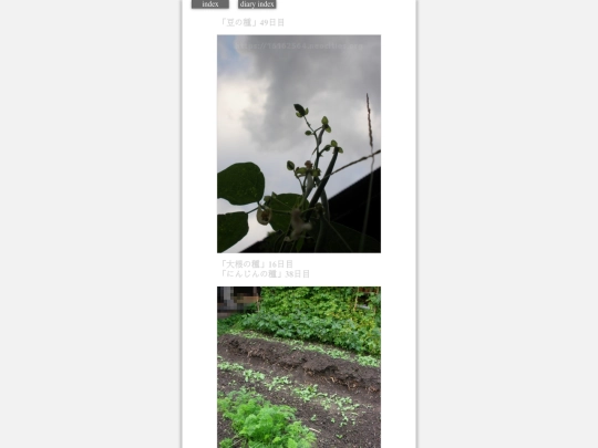 2023/hadaikon2023oct10 screenshot