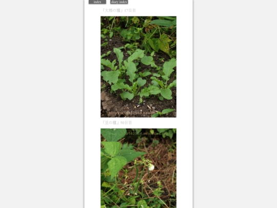 2023/hadaikon2023oct11 screenshot