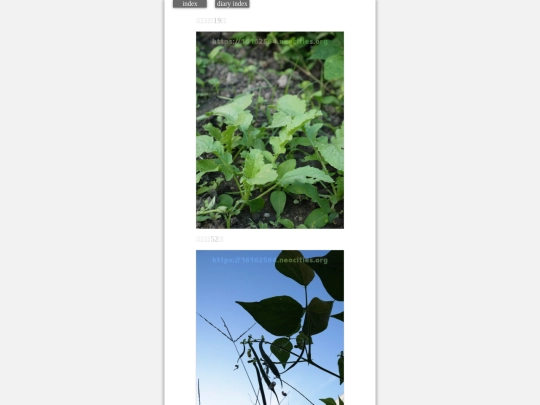 2023/hadaikon2023oct13 screenshot