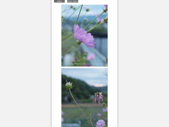 2023/hadaikon2023oct15 screenshot