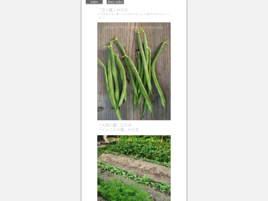 2023/hadaikon2023oct16 screenshot