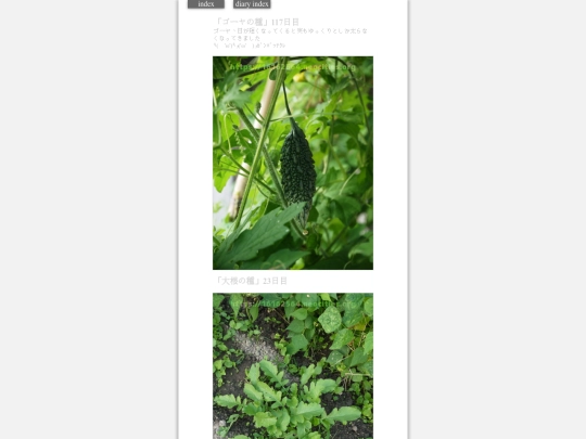 2023/hadaikon2023oct17 screenshot