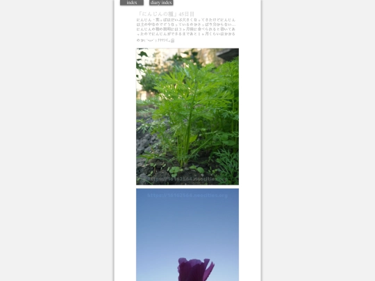 2023/hadaikon2023oct18 screenshot