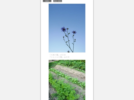 2023/hadaikon2023oct19 screenshot