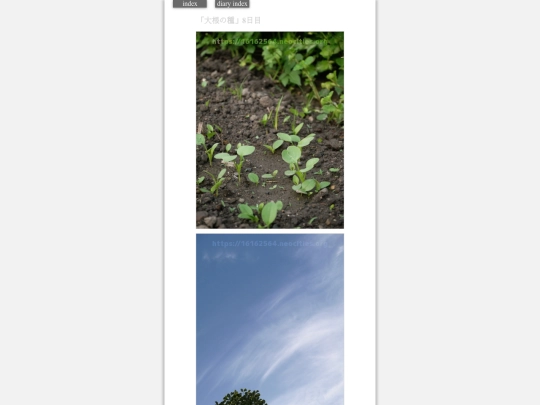 2023/hadaikon2023oct2 screenshot