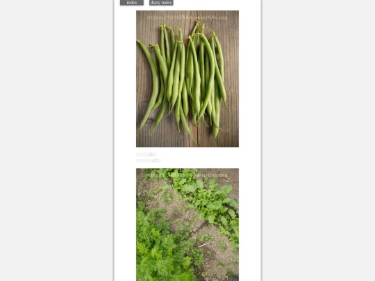 2023/hadaikon2023oct20 screenshot