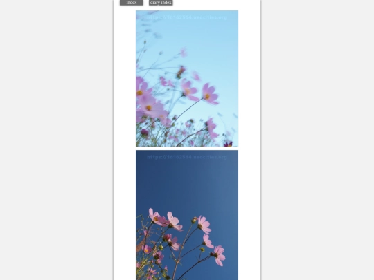 2023/hadaikon2023oct21 screenshot