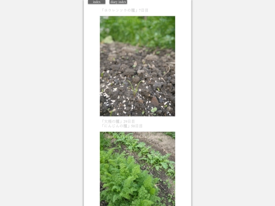 2023/hadaikon2023oct23 screenshot