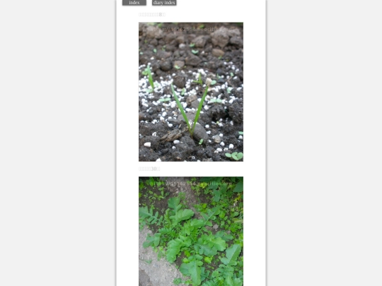 2023/hadaikon2023oct24 screenshot