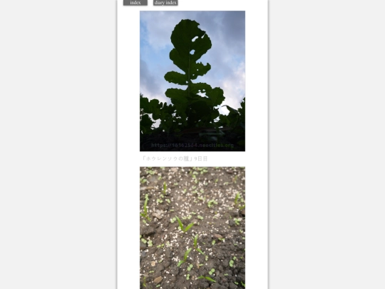 2023/hadaikon2023oct25 screenshot