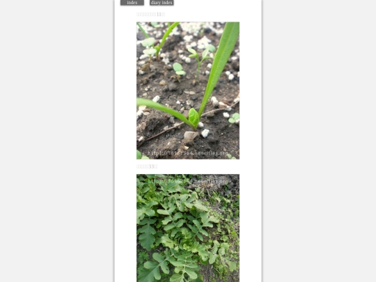 2023/hadaikon2023oct27 screenshot