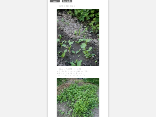 2023/hadaikon2023oct3 screenshot