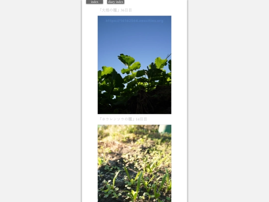2023/hadaikon2023oct30 screenshot