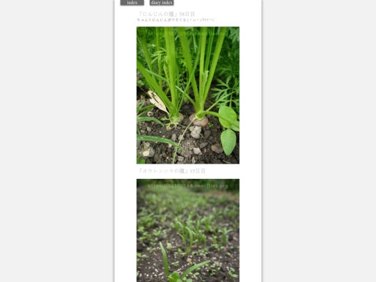 2023/hadaikon2023oct31 screenshot