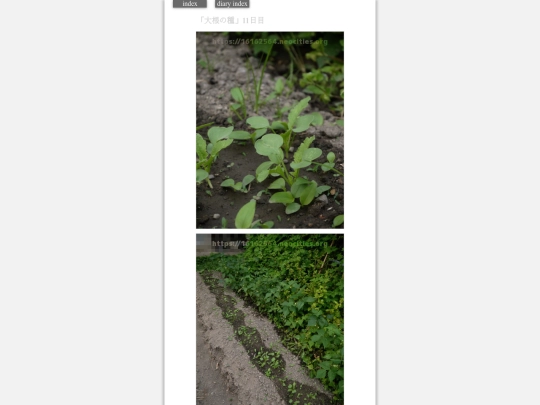 2023/hadaikon2023oct5 screenshot