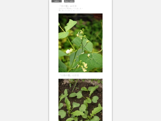 2023/hadaikon2023oct6 screenshot
