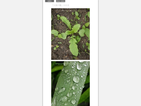 2023/hadaikon2023oct9 screenshot