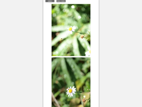 2023/hadaikon2023oct9i screenshot