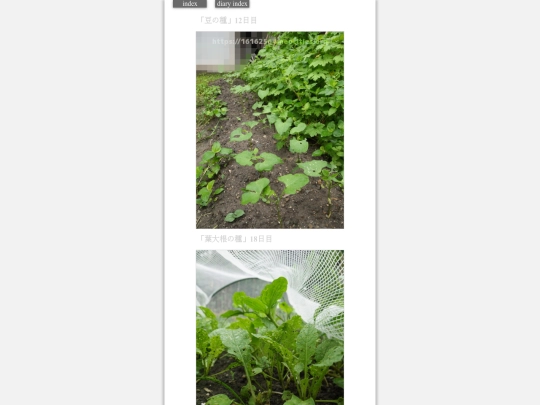 2023/hadaikon2023sep1 screenshot