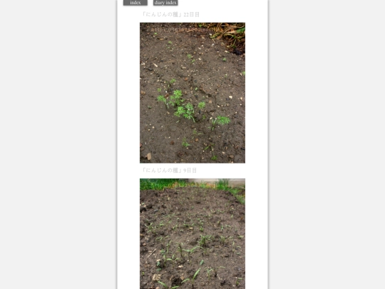 2023/hadaikon2023sep11 screenshot