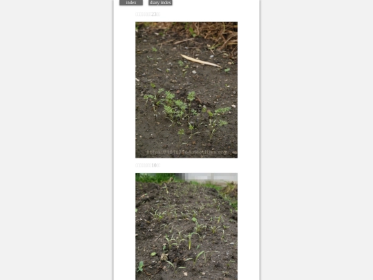 2023/hadaikon2023sep12 screenshot