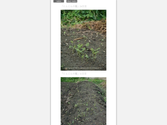 2023/hadaikon2023sep13 screenshot