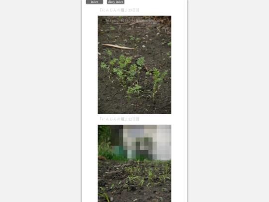 2023/hadaikon2023sep14 screenshot