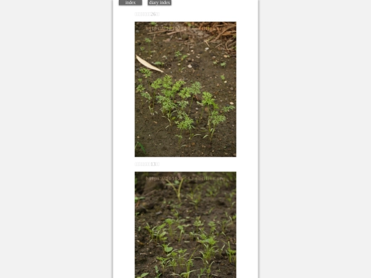 2023/hadaikon2023sep15 screenshot
