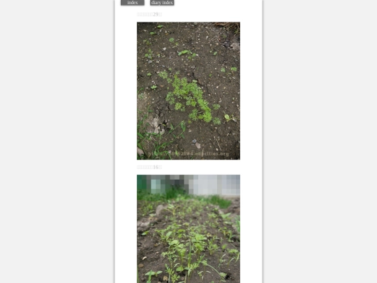 2023/hadaikon2023sep18 screenshot