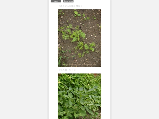 2023/hadaikon2023sep21 screenshot