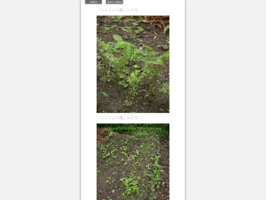 2023/hadaikon2023sep22 screenshot