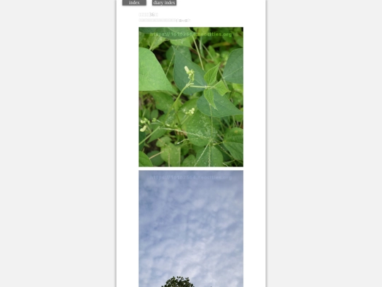 2023/hadaikon2023sep26 screenshot