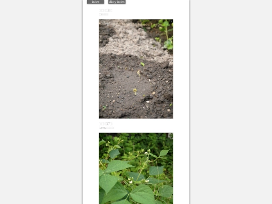 2023/hadaikon2023sep27 screenshot