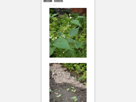 2023/hadaikon2023sep29 screenshot