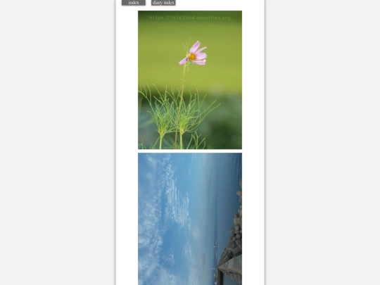 2023/hadaikon2023sep3 screenshot