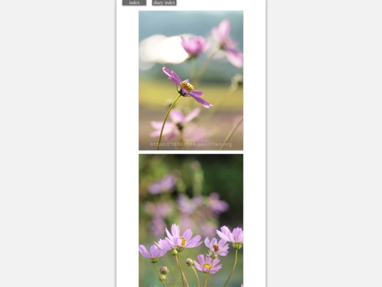 2023/hadaikon2023sep30 screenshot