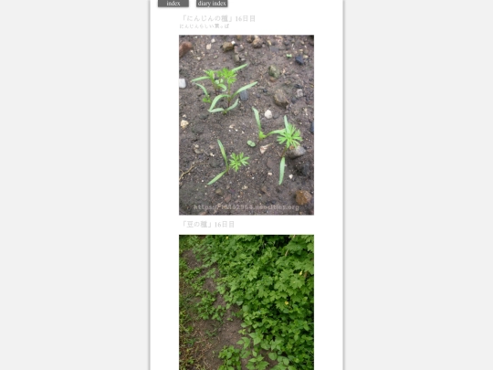 2023/hadaikon2023sep5 screenshot