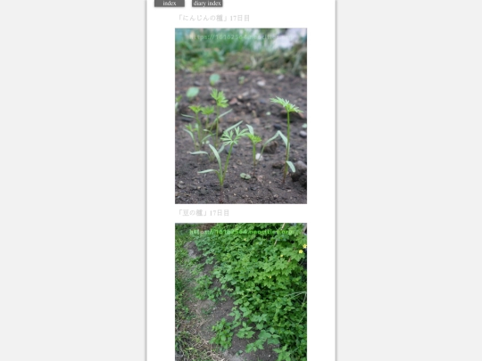 2023/hadaikon2023sep6 screenshot