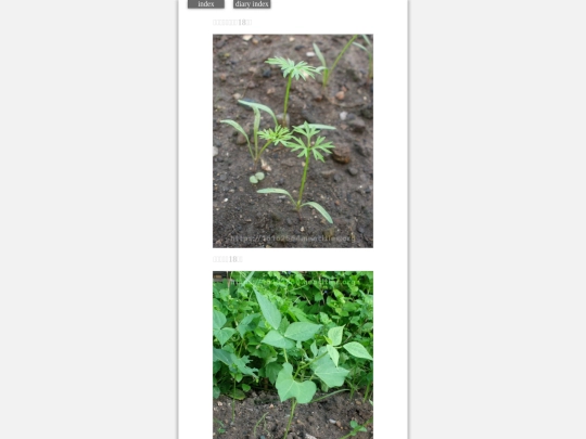 2023/hadaikon2023sep7 screenshot