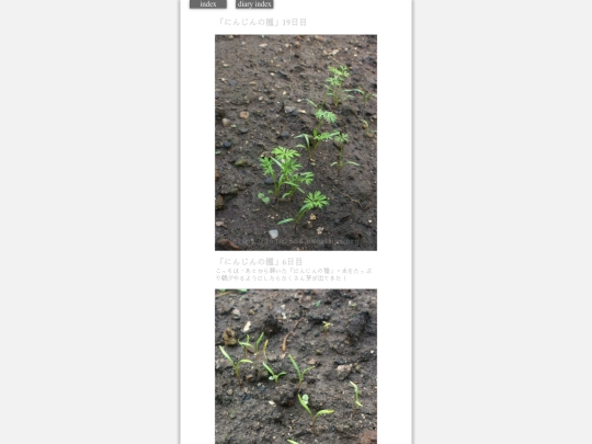 2023/hadaikon2023sep8 screenshot