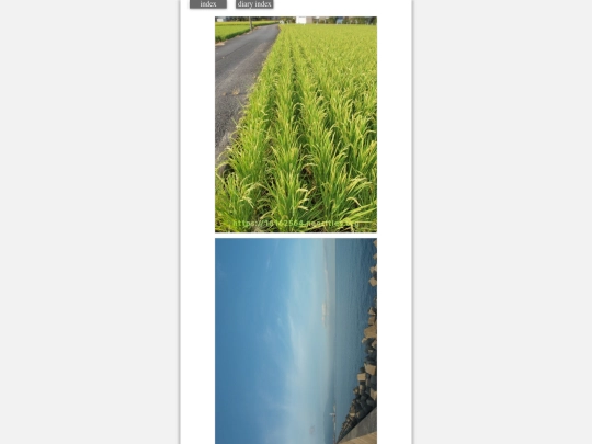 2023/hadaikon2023sep9 screenshot