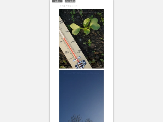 2023/hadaikon2024jan2 screenshot
