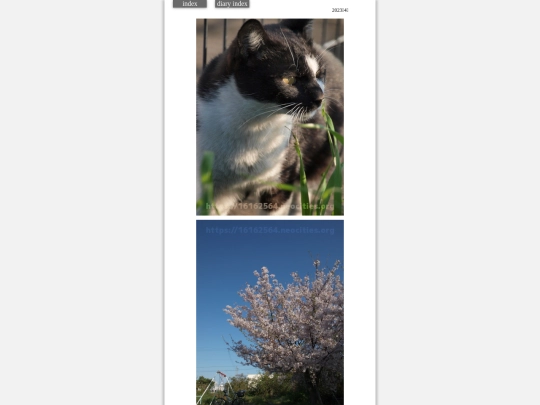 2023/hare2023apr2 screenshot